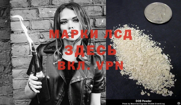 гашик Пересвет