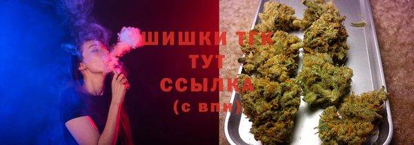 гашик Пересвет