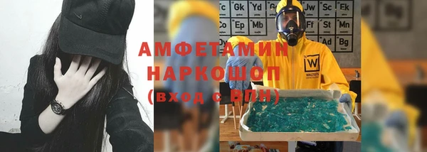 гашик Пересвет