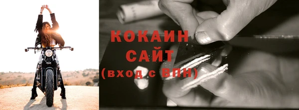 гашик Пересвет