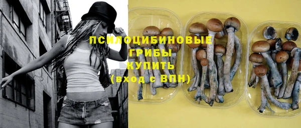 прущая мука Переславль-Залесский